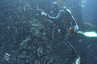 Diver