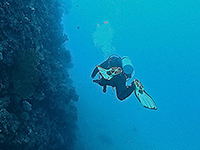 Diver