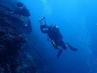 Diver